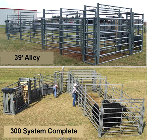 WW 300 Working System with Chute for Cattle Handling Equipment