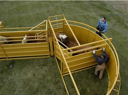Sioux Steel Cattle Cornless Tub