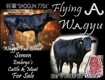 Flying A Wagyu 100% Full Blood Black Wagyu Bull Semen & Farm Raised Crosses 