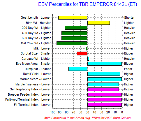 TBR EMPEROR 8142 - Flying A Wagyu 100% Full Blood Black Wagyu