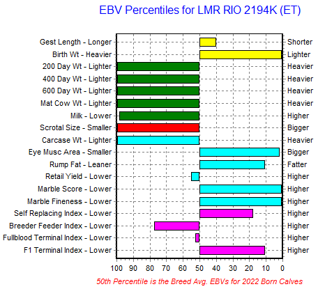 LMR RIO 2194K ET - LMRF22T2194 - FB111302 - Flying A Wagyu 100% Full Blood Black Wagyu