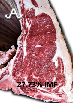 Full Blood Wagyu Black Bull Bar V 618D ET FB24437 IMF % Picture taken with MIJ Certified Camera