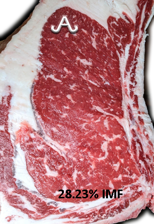 Full Blood Wagyu Black Bull Bar V 618D ET FB24437 IMF % Picture taken with MIJ Certified Camera