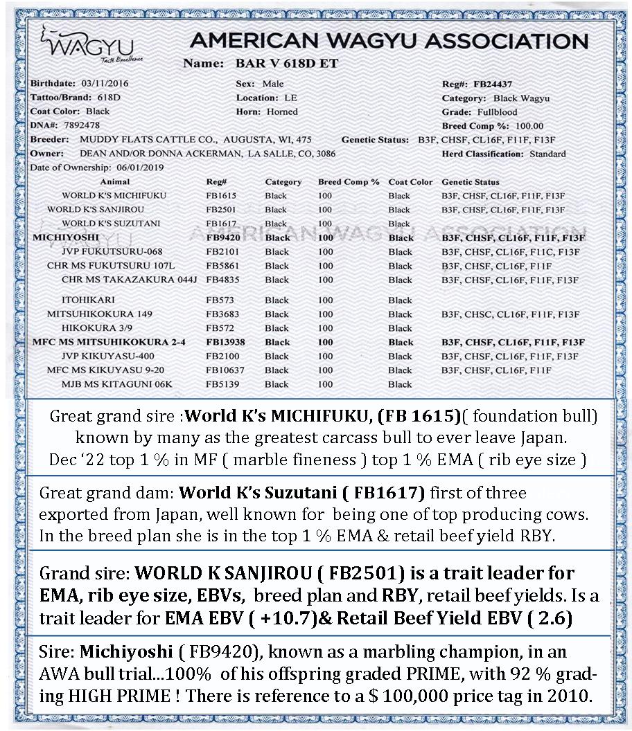 Bar V 618D ET " Vince's" Papers. Great grand sire :World K’s MICHIFUKU, (FB 1615)( foundation bull) known by many as the greatest carcass bull to ever leave Japan. Dec ‘22 top 1 % in MF ( marble fineness ) top 1 % EMA ( rib eye size ). Great grand dam: World K’s Suzutani ( FB1617) first of three heifers exported from Japan, well known for  being one of top producing cows. In the breed plan she is in the top 1 % EMA & retail beef yield RBY. Grand sire: WORLD K SANJIROU ( FB2501) is a trait leader for EMA, rib eye size, EBVs,  breed plan and RBY, retail beef yields. Is a trait leader for EMA EBV ( +10.7)& Retail Beef Yield EBV ( 2.6). Sire: Michiyoshi ( FB9420), known as a marbling champion, in an AWA bull trial...100%  of his offspring graded PRIME, with 92 % grading HIGH PRIME ! There is reference to a $ 100,000 price tag in 2010.