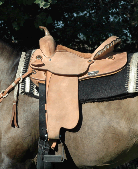 Ackermans Training & Breeding Center Donna Ackerman