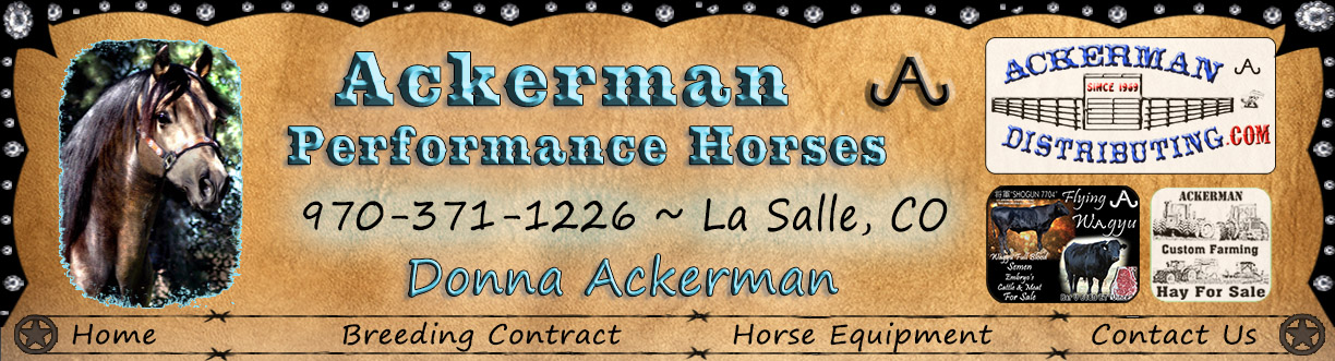 Ackerman Distribuitng, Construction, Custom Farming, & Performance Horses