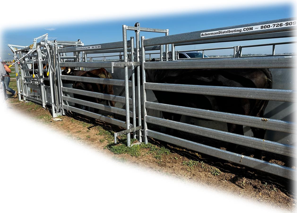 4 Rivers Heavy Duty 14’ Adjustable Alley 