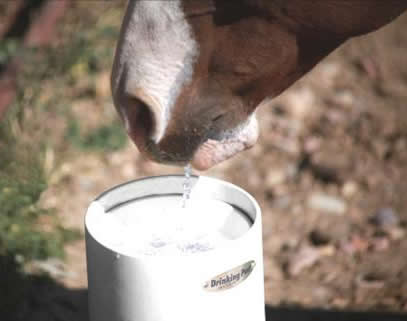 The Drinking Post Automatic Horse Waterer Energy Free