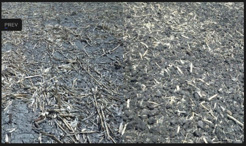 Kwik-Till Corn Field (Before/After)