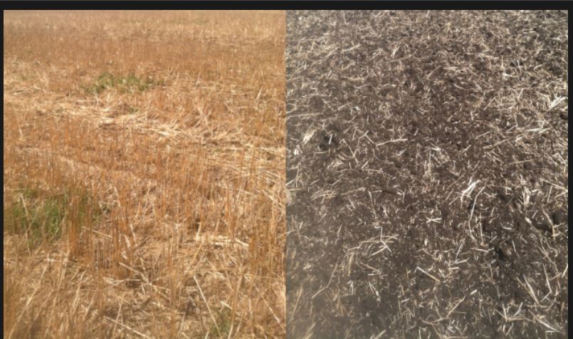 Kwik-Till Wheat Field (Before/After)