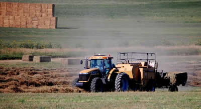 Custom Baling Grass, Alfalfa, & Cornstalks in Colorado