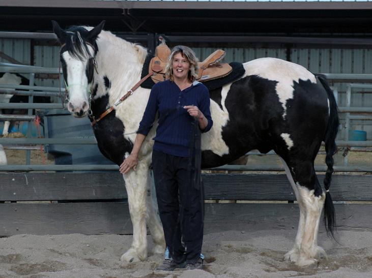 Donna Ackerman Training, Breeding, &  Boarding Center, Northern Colorado