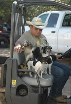 Donna Ackerman Training, Breeding, &  Boarding Center, Northern Colorado