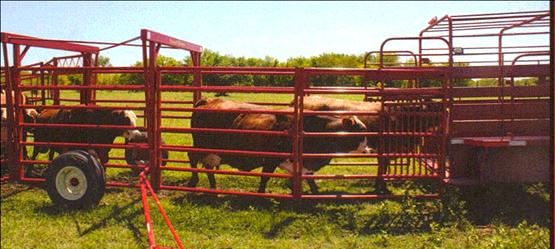 Diamond W Portable Cattle Corral