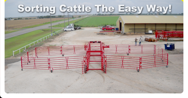 Diamond W Sorting System for Cattle and Bison
