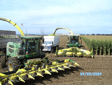 Custom Chopping near Greeley Colorado