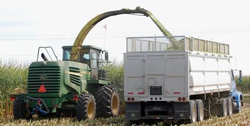 Custom Chopping near Greeley Colorado