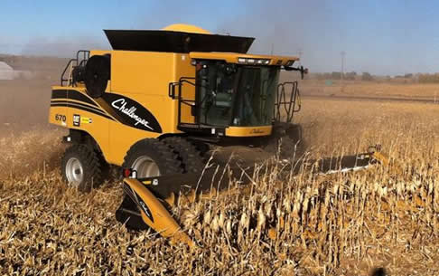 Custom Combining Corn & Wheat in Colorado