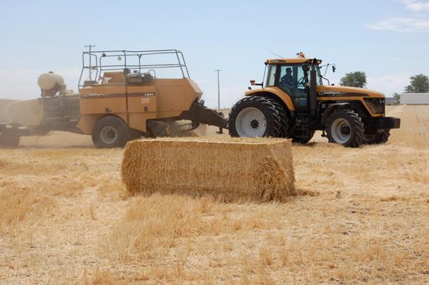 Straw For Sale Northern Colorado by Greeley