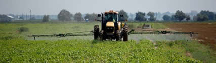 Custom Spraying and Chemical Application on our Leased Farm outside of La Salle Colorado 