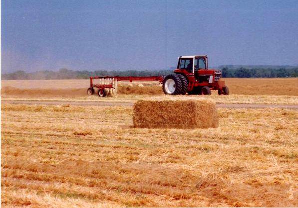 Straw For Sale Northern Colorado by Greeley