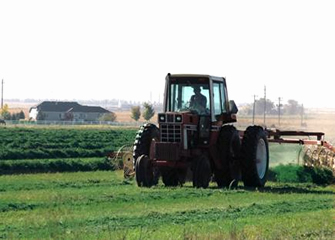 Raking Grass and Alfalfa Hay near Greeley Colorado 