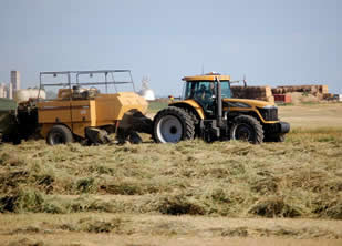 Custom Baling Grass, Alfalfa, & Cornstalks in Colorado