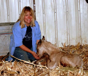 Donna Ackerman Training, Breeding, &  Boarding Center, Northern Colorado