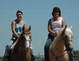 Donna Ackerman Training, Breeding, &  Boarding Center, Northern Colorado