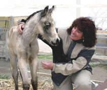 Donna Ackerman Training, Breeding, &  Boarding Center, Northern Colorado