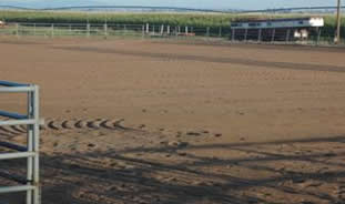 Donna Ackerman Training, Breeding, &  Boarding Center, Northern Colorado