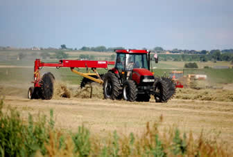 Raking Grass and Alfalfa Hay near Greeley Colorado 