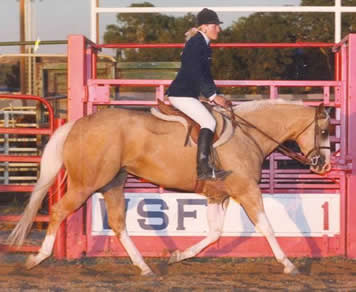 Ackermans Training & Breeding Center Donna Ackerman