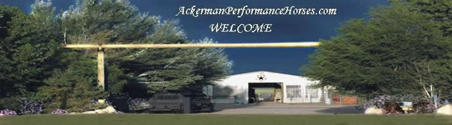 Ackerman's Performance Horses Boarding, Trainining, Breeding. Ackerman Distributing, Construction, & Farming