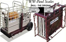 WW Paul Platform & Cage Scales