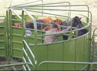 Powder River Rancher Tub and Alley System