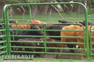 Powder River Classic 6 Bars ~ Bow Gates