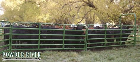 Powder River Classic 64” 6 Bars ~ Panels