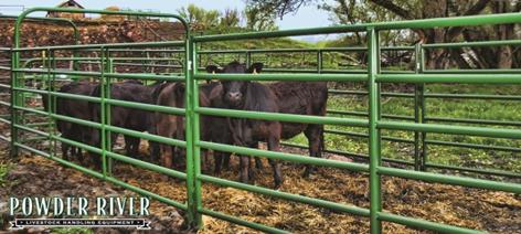 Powder RiverRancher 70” Panels 6 Bars