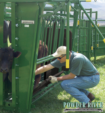 Powder River Herdmaster Enhanced Squeeze