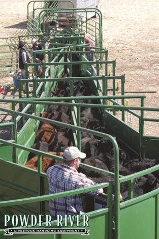 Powder River Rancher Tub and Alley System