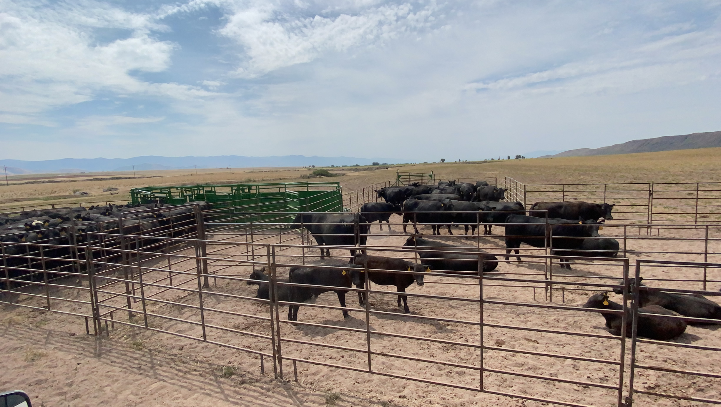 Real Tuff Panels & Gates