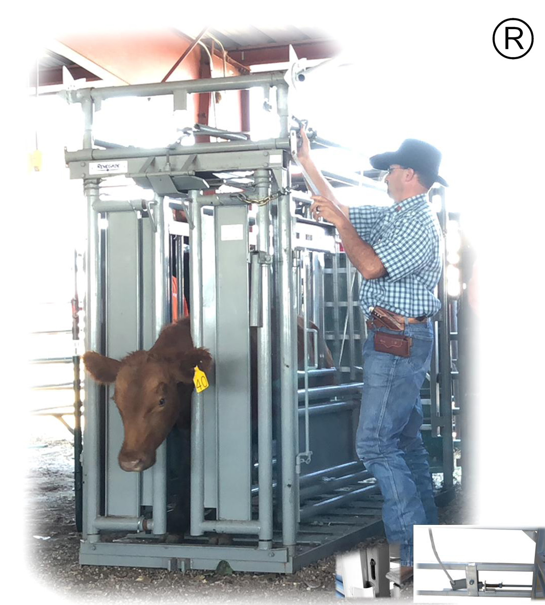 Renegade Cattle Squeeze Chute w/ 12 Panels