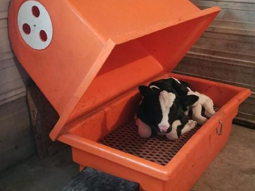 Calf Warmer