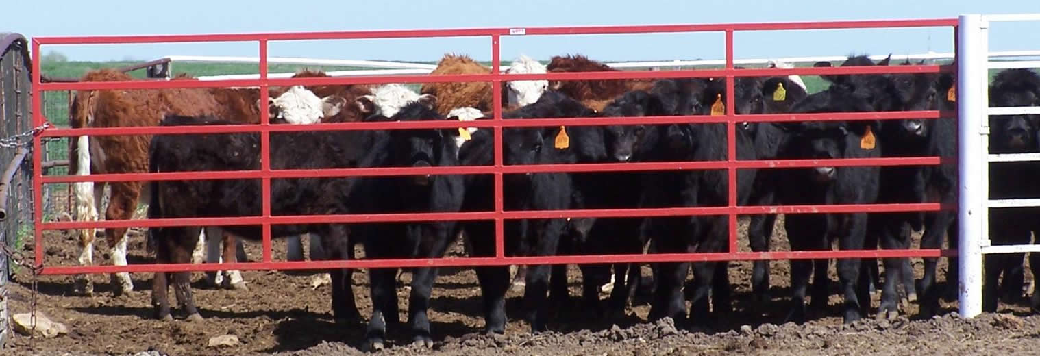 Sioux Steel Victory Corral Gates, Covered Under Lifetime Guarantee for Cattle & Horses 