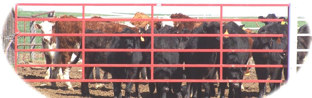 Sioux Steel Victory Corral Gates, Covered Under Lifetime Guarantee for Cattle & Horses 