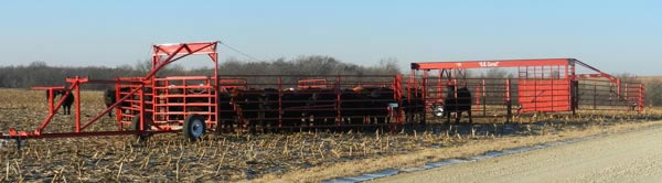 Titan West OK Corral, Portable Corral for Cattle