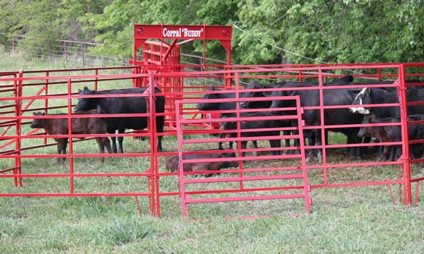 Titan West OK Corral, Portable Corral for Cattle