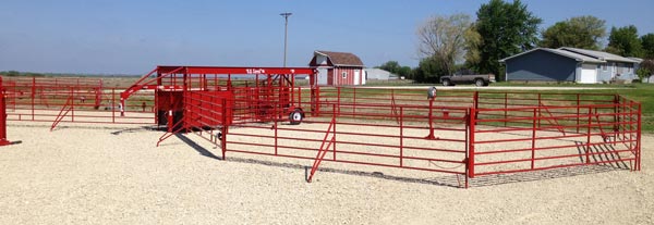 Titan OK Portable Corral Shown with a Horse Front