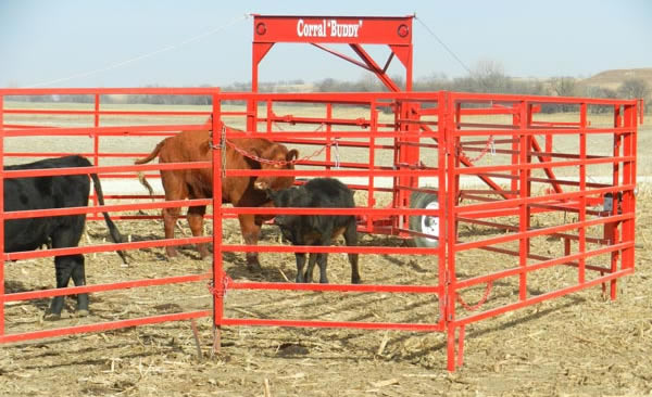 Titan West OK Corral, Portable Corral for Cattle